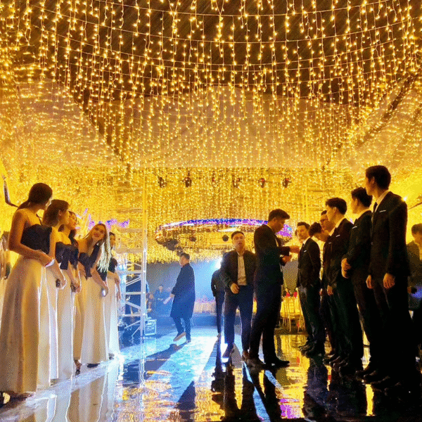 LED Waterfall  Decorative  Light Bulbs for Home, Party & Events - Image 5