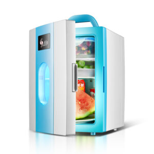 Someter 10L Car Refrigerator Household Mini Refrigerator Student Dormitory Cosmetics Breast Milk Fresh-keeping Refrigerator